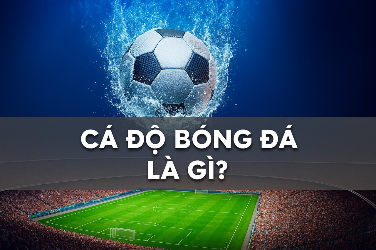 Sân vận động và trái bóng nước đại diện cho cá cược bóng đá trực tuyến tại Việt Nam.