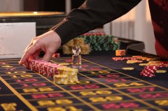 5 Nhà Cung Cấp Live Casino Đáng Tin Dùng